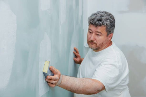 Best Mold Odor Removal Services  in USA